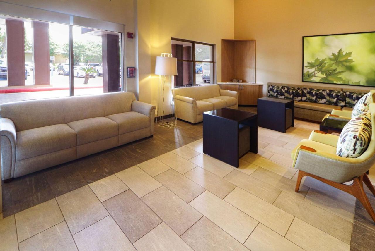 Wyndham Garden Mcallen At La Plaza Mall מראה חיצוני תמונה